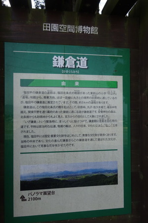 DSC08206