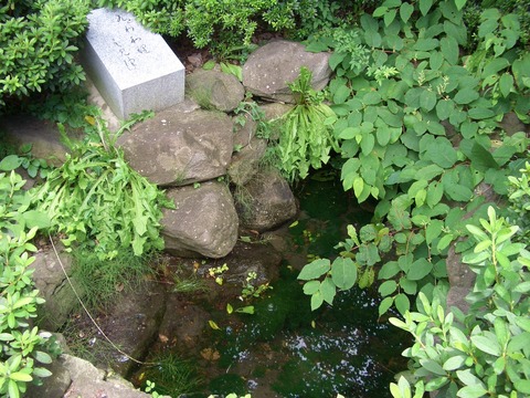 CIMG1169瓜割清水(諏訪神社脇)