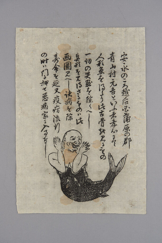 江戸時代の疫病退散祈願「人形魚」と現代の「アマビエ」 : 小林玲子の