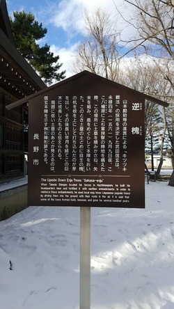 1641194766598