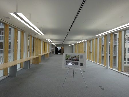DSC02594