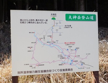 DSCN6395 (2)