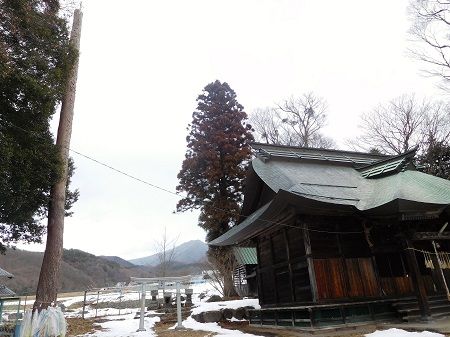 DSCN6678 (2)