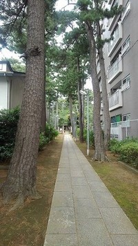 KIMG0402