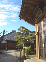 十念寺大仏堂、奥に本堂