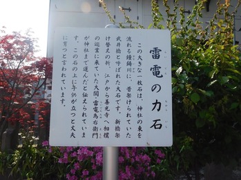 DSCN1825