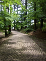 坂