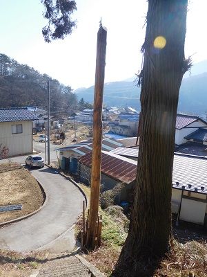 DSCN6282