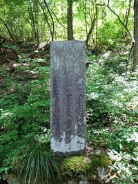 DSC01719 (2)