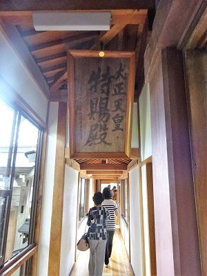 DSC05247 (2)