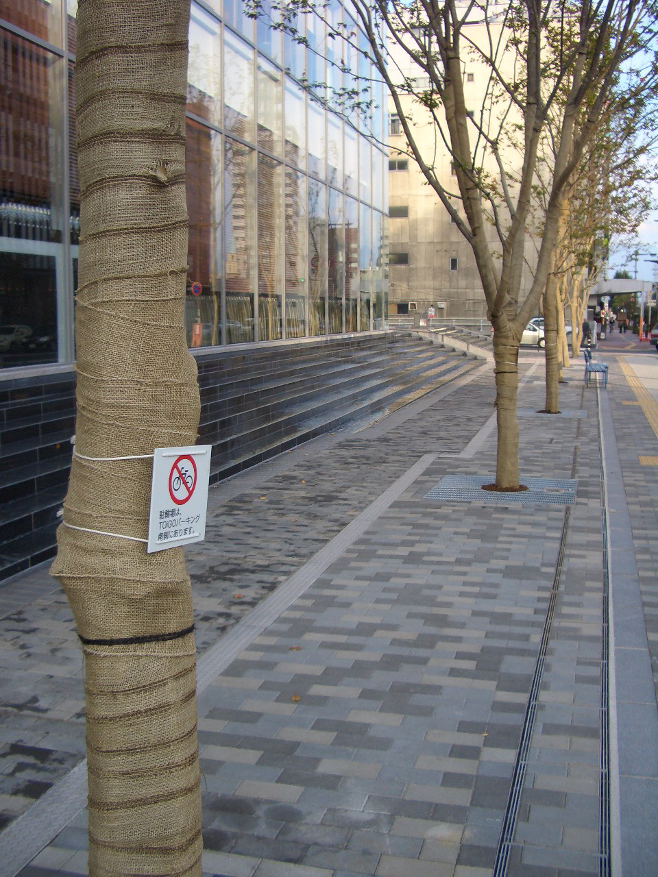トイーゴ周辺の自転車の置き場所 小林玲子の善光寺表参道日記
