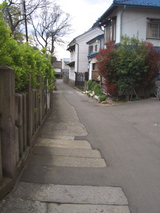 虎小路反対から