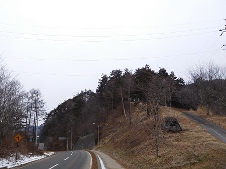 DSCN6539