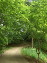 続きの坂