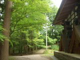 右に建物