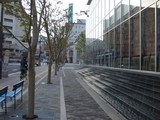 トイーゴ前昭和通り