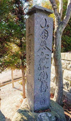 DSC_5089 (1)