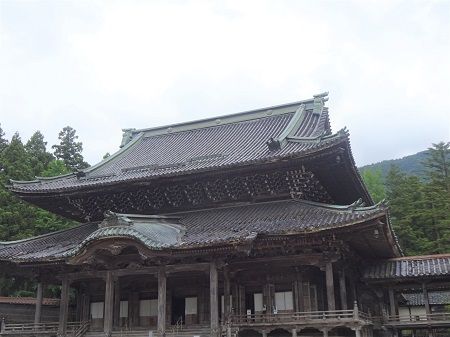 DSC06338 (2)