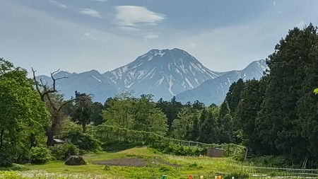 DSC_2681