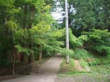 撮影現場入り口坂