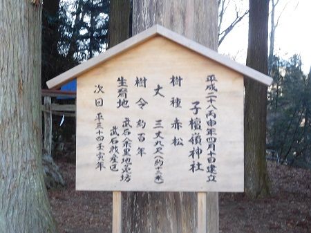 DSCN6416 (2)