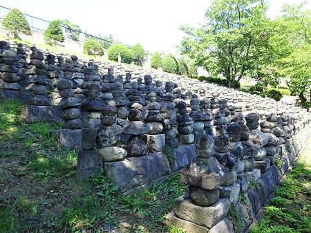 DSC01766 (2)
