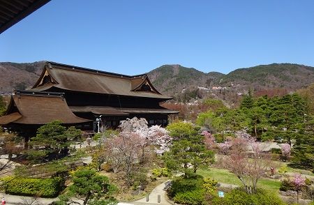 DSC06117 (3)