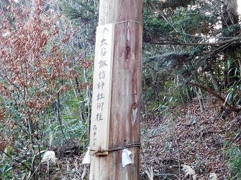 DSCN6374 (2)