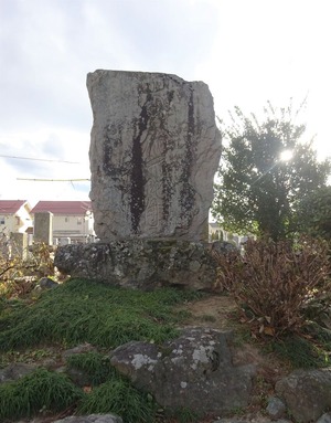 DSC06740 (2)