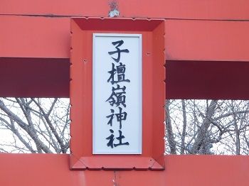 DSCN6406 (2)