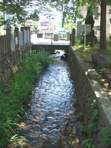 湯福川橋から東