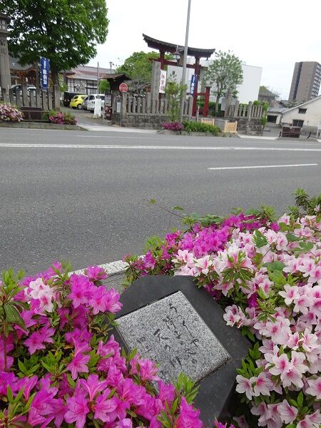 一茶の句「七夕病中 うつくしや障子の穴の天の川」 : 小林玲子の善光寺