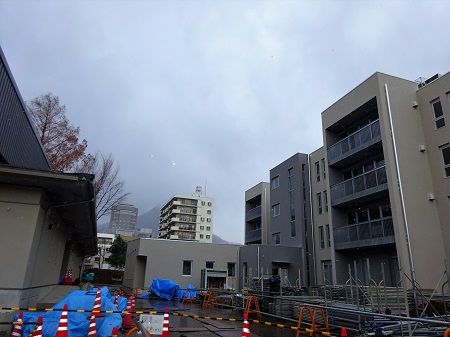 DSC02602 (2)