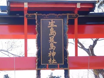 DSCN6339 (3)