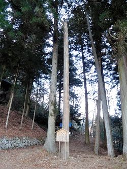 DSCN6415 (2)