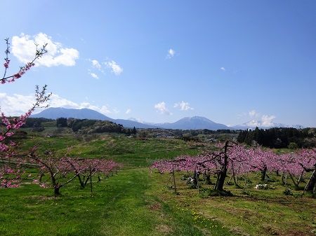 DSC03459 (2)