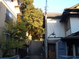 階段下から