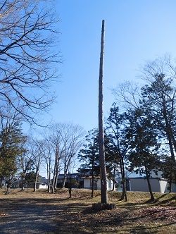 DSCN6324