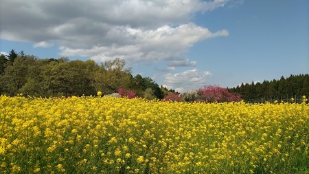 DSC_2477