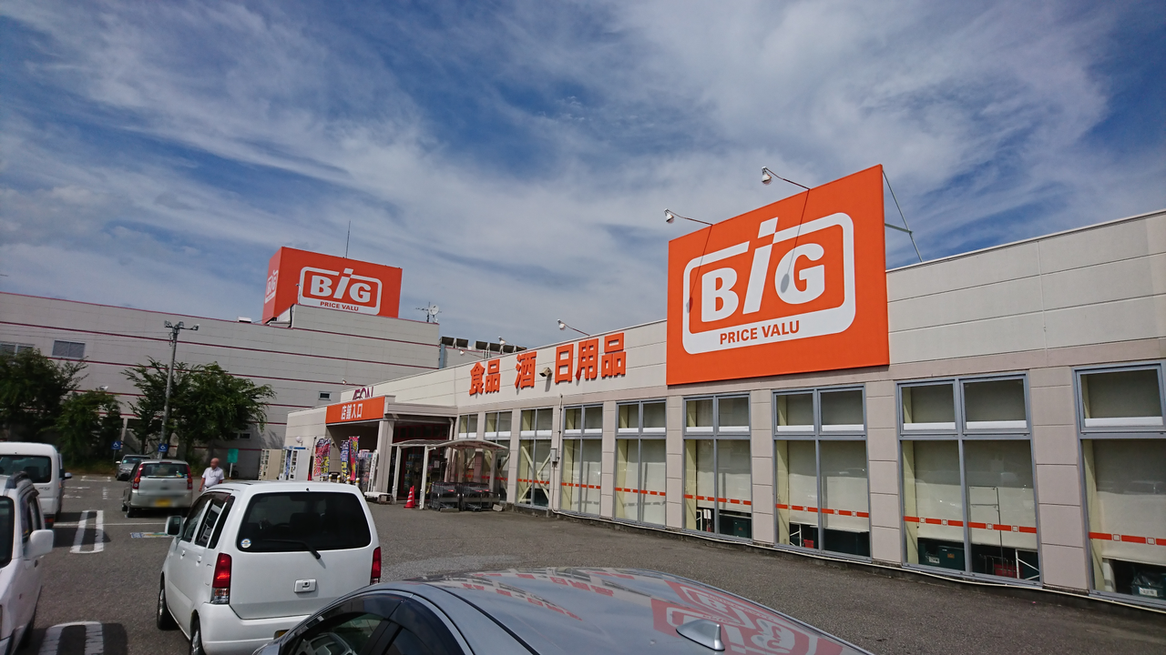 ザ ビッグ 三郷 店
