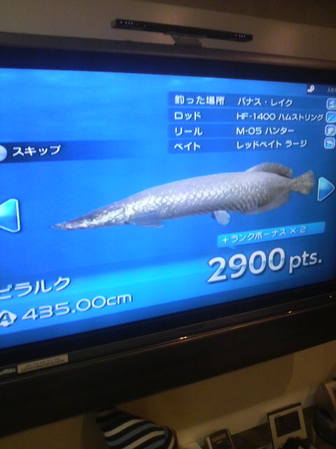 ファミリーフィッシング マグナム長尾のトップの星になれ