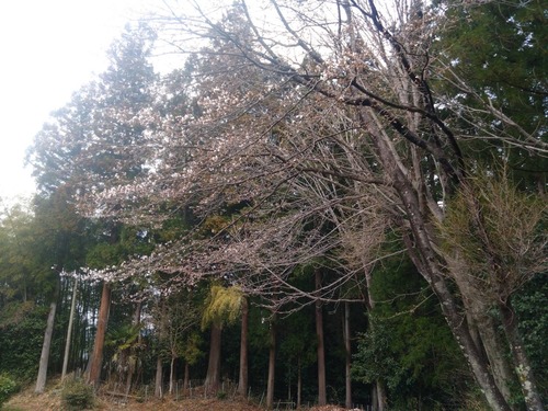 F0544752-EF60-489C-8A57-0CFECA0E6902