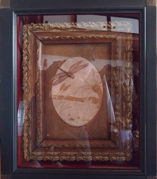 217319D9-6232-4B9D-A4DA-80AA9BE25499