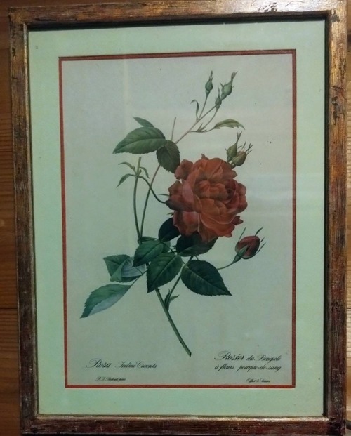 F613A5E3-8DD3-4899-8C14-5FDA1A38A4A6