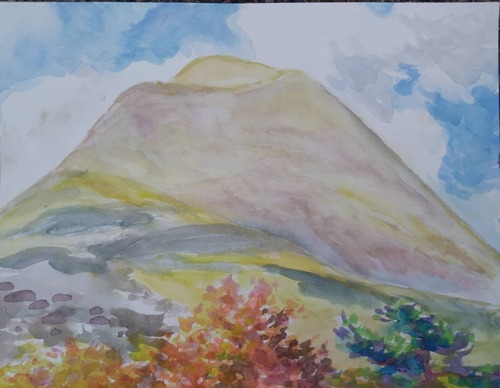 317B4B34-A2A7-4D52-B0F3-601A0C8D9165