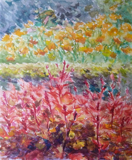 BBCD0C66-44D4-4A95-BCA3-58F35E63C24A