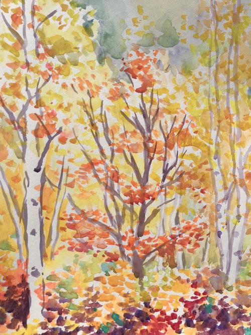 3165C91F-DB0E-48D0-98CE-D35276D82F94