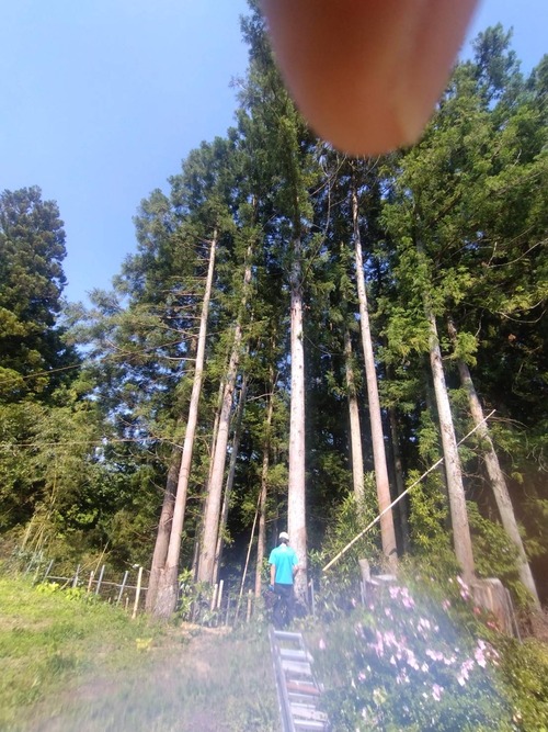 2BB447C5-3CA7-4102-8B87-F548EFDD312A