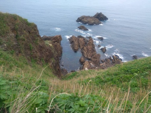 1A78154D-02A8-4331-8C70-004DDCC0A7E7