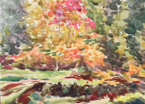 348A1F07-436C-43AF-B829-A8FA8F0E7319